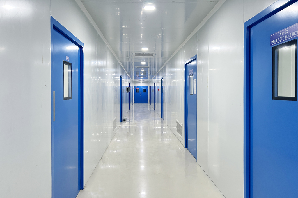 Dual-Corridor-System